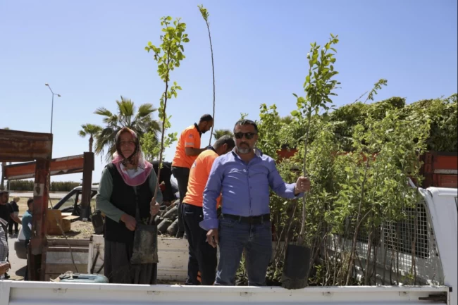 Mersinli çiftçiler Trabzon Hurması üretecek