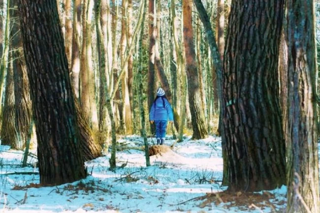 İzmir'in dört bir yanında kültür var