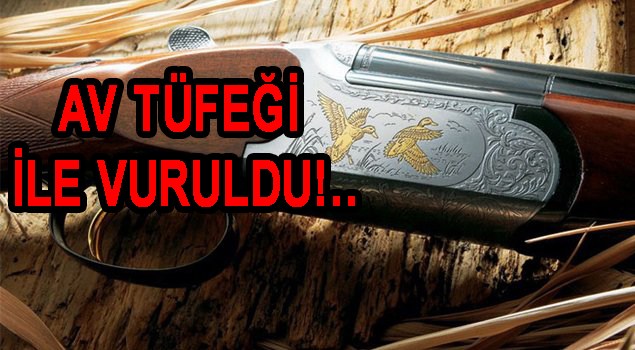 Adi şuç mu, organize iş mi?